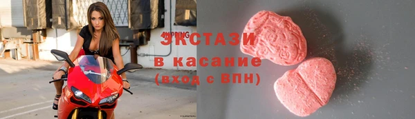 ECSTASY Богородицк