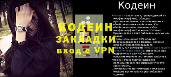 ECSTASY Богородицк