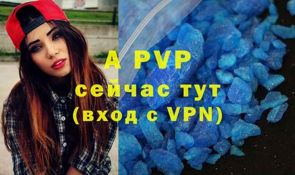 ECSTASY Богородицк