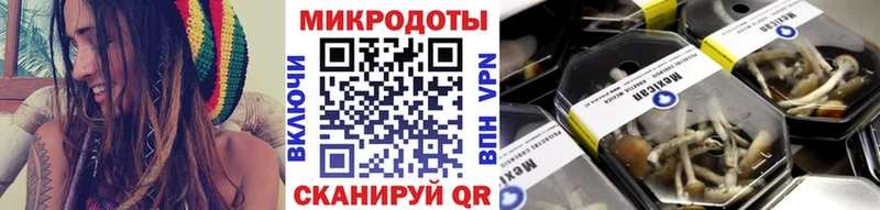 Псилоцибиновые грибы Psilocybe  Ярославль 