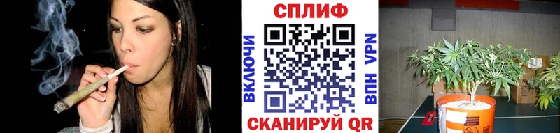 где купить наркоту  Ярославль  Бошки Шишки White Widow 